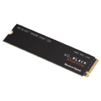 WDS200T2X0E